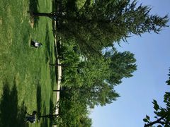 android_upload_pic-沈阳植物园