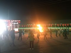 -苏木山森林公园
