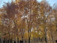 -长春世界雕塑园冰雪艺术天地