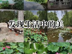 -丰台科技园生态主题公园
