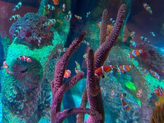 -沈阳海洋探索中心