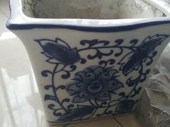 -中环花鸟鱼虫市场