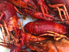 小龙虾-哈勒滨饭庄(南二道街店)