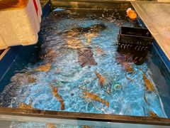 -HALO广场(梨园路店)