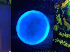 -天津梵高星空艺术馆(天河城旗舰店)