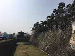 -名古屋城