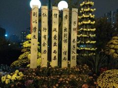 android_upload_pic-西北湖绿化广场