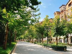 -天鹅湖生态旅游风景区