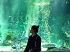 -沈阳海洋探索中心