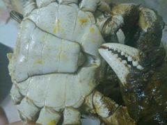 -喜洋洋蟹庄(阳澄湖店)