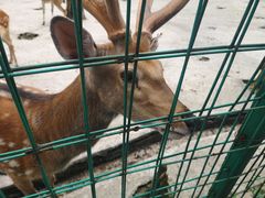 -武陵山森林公园