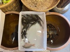 -湖南老饭铺(福永店)
