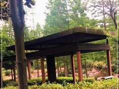 -宝界山林公园