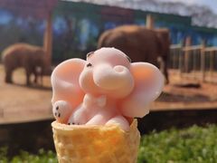 -昆明动物园