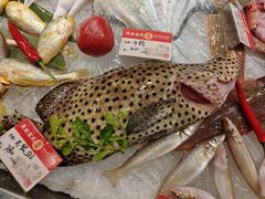 -吴记富苑(朝阳店)