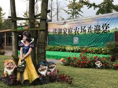 -洪湖家庭农场·团建·露营·会议