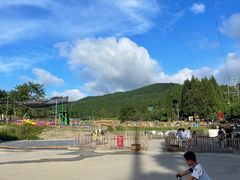 -武陵山森林公园