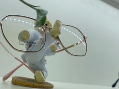 -翰佐蔡司小乐圆·依视路星趣控·暴龙眼镜折扣店