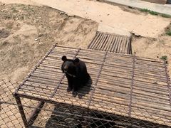 -青岛森林野生动物世界