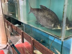 -洞天食府(北大街店)
