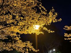 -鸡鸣寺