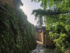 -杨家堂村
