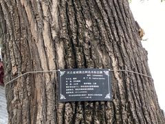 -保定直隶总督署博物馆
