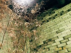 -茶理宜世(东方宝泰店)