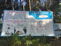 -东郊椰林