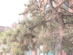 -中国艺术研究院油画院