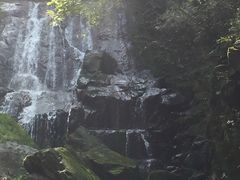 -藏龙百瀑风景区