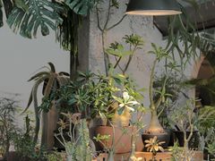 -自由生长植物工作室(深港花卉中心店)