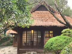 -中国茶叶博物馆(双峰馆区)
