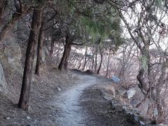 -北京鹫峰国家森林公园