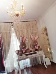 -美肤盾祛痘·问题肌头疗管理中心