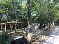 -溱湖国家湿地公园