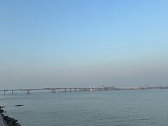 -大湾区中央湿地公园
