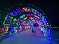 -亚龙湾国际玫瑰谷