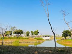-王借岗森林公园