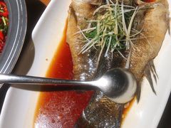清蒸笋壳鱼-伙靠·江浙菜(田林路店)