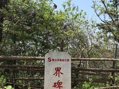 -素山寺森林公园