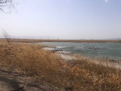 -野鸭湖国家湿地公园