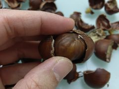 -粒上皇(天丰利市场店)