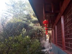 -彩色沙林风景区