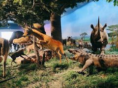 -国家自然博物馆