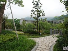 酒店花园-宁波九龙湖开元度假村