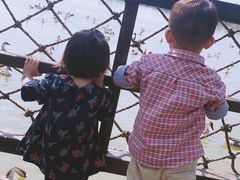 -艾溪湖湿地公园