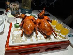 -大鸽饭(动物园店)