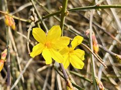 -永定河休闲森林公园