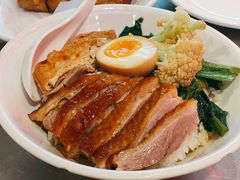 金奖卤鹅肉饭-陈鹏鹏潮汕菜(宝安机场T3航站楼店)